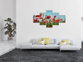 Obraz - Na polu maków (125x70 cm)