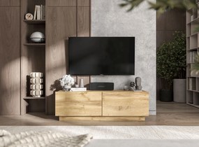 Dwudrzwiowa szafka RTV na cokole Enjoy dąb artisan