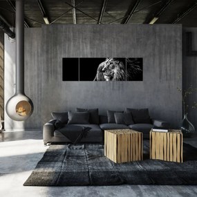 Obraz - Lew, czarno-biały (170x50 cm)