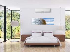 Obraz - Zmiana pór roku (170x50 cm)