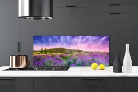 Szkło do Kuchni na Ścianę Alpejska Łąka W Kwiatach