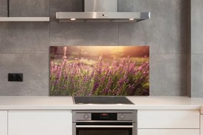 Szkło do Kuchni na Ścianę Rozległe Pole Wrzosów