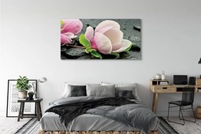 Obraz canvas na ścianę Magnolia i Kamienie
