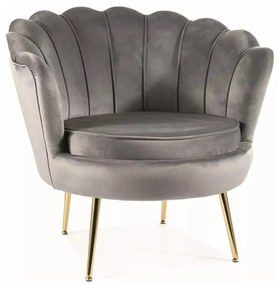 FOTEL CAMELLIA 1 VELVET SZARY BLUVEL 14/ZŁOTY SIGNAL