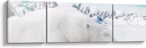 Obraz - Niedźwiedź polarny (170x50 cm)