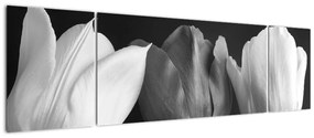 Obraz - Czarno - białe kwiaty tulipanów (170x50 cm)