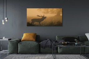 Duży obraz na płótnie Jeleń o Wschodzie Słońca