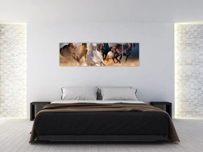 Obraz - Konie na pustyni (170x50 cm)
