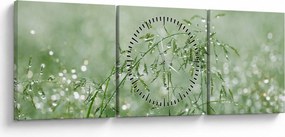Obraz - Rosa na trawie (z zegarem) (90x30 cm)