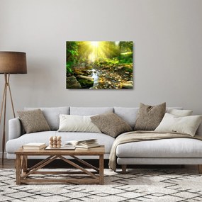 Obraz na szkle - rzeka w zielonym lesie (70x50 cm)