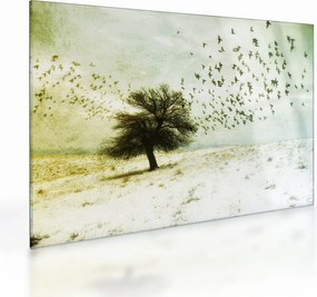 Obraz na szkle - Malowane stado ptaków (70x50 cm)