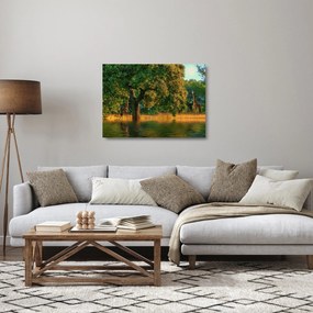 Obraz na szkle - żyrafy w naturze (70x50 cm)
