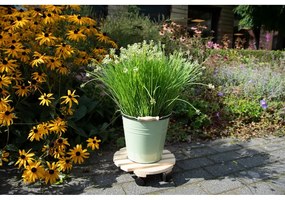 Drewniany kwietnik na kółkach ø 29 cm (wysokość 8 cm) Indoor &amp; Outdoor – Esschert Design
