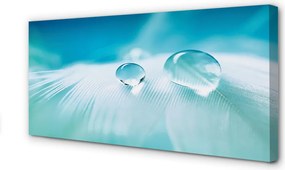 Obraz na płótnie Makrofotografia Kropli Wody