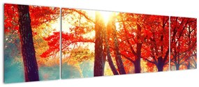 Obraz- Jesienny krajobraz (170x50 cm)