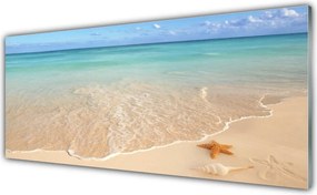 Szkło do Kuchni na Ścianę Rozgwiazda Na Piasku