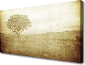 Fotoobraz na płótnie Korona Rozłożystego Drzewa