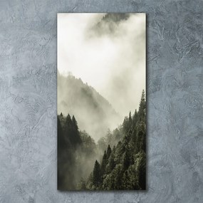 Foto obraz szkło akryl pionowy Mgła nad lasem