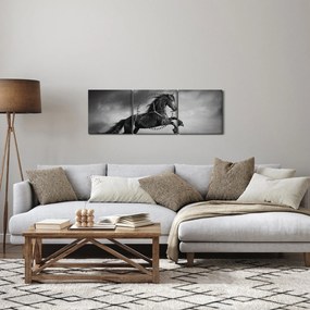 Obraz - Czarny i biały koń (z zegarem) (90x30 cm)