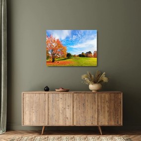 Obraz na szkle - Jesienny krajobraz (70x50 cm)