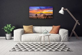 Fotoobraz na płótnie Tajemniczy Bór we Mgle