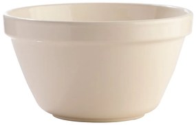 Biała misa kamionkowa Mason Cash Basin, ⌀ 22 cm