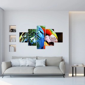 Obraz - Papuga (125x70 cm)