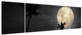 Obraz - Plaża pod pełnią księżyca w odcieniach szarości (170x50 cm)