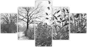 Obraz - Pola w zimie (125x70 cm)