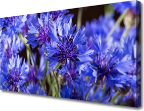 Obraz drukowany na płótnie Artystyczna Wizja Ogrodu