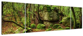 Obraz magicznego lasu (170x50 cm)