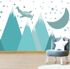 Fototapeta - Lot nocny (196x136 cm)