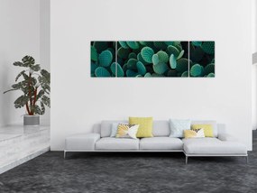 Obraz - Opuncja (170x50 cm)
