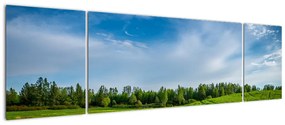 Obraz łąki (170x50 cm)