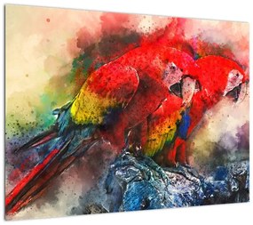 Obraz czerwonych papug Ara (70x50 cm)