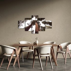Obraz - Widok przez korony drzew (125x70 cm)