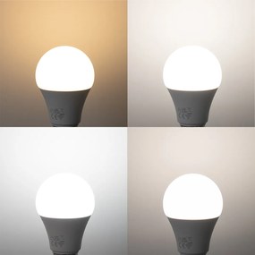 Zestaw 5 Inteligentne żarówki LED E27 A60 Matt RGBW 9W 806lm 2700-6500K