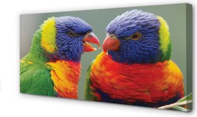 Fotoobraz na płótnie Feeria Barw: Papugi