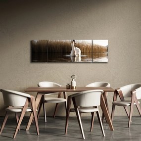 Obraz łabędzia (170x50 cm)