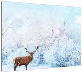 Obraz na szkle majestatycznego jelenia (70x50 cm)