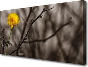 Obraz na płótnie Wiosenna Gałązka Kwiatowa
