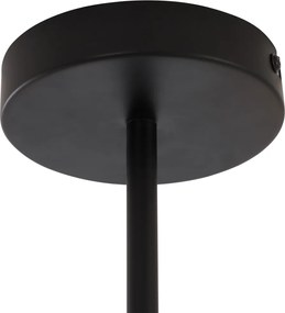 Nowoczesna lampa sufitowa czarna z przydymionym szkłem 6-punktowa - Ryan