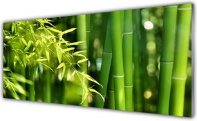 Panel Szklany do Kuchni Botaniczny Motyw Bambusa