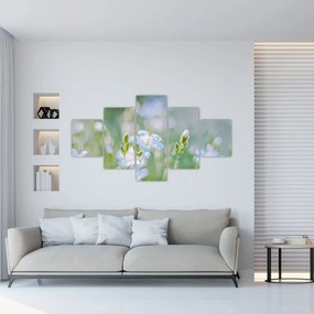 Obraz - Delikatne kwiaty (125x70 cm)