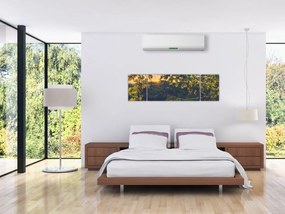 Obraz - Winnica (170x50 cm)