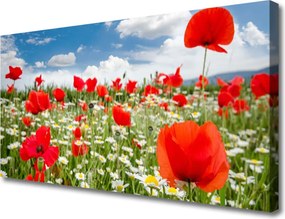 Duży obraz na płótnie Kwiatowa Polana Marzeń