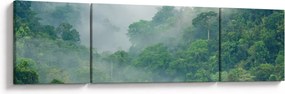 Obraz - Poranna mgła (170x50 cm)