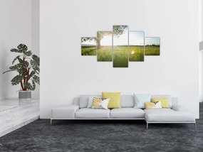 Obraz letniej łąki (125x70 cm)
