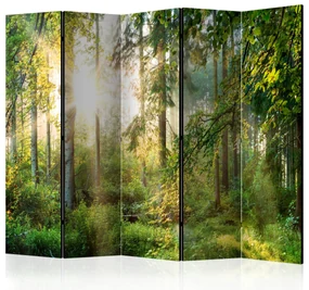 Parawan jednostronny Pejzaże 225x172 cm 5-częściowy zielony ARTGEIST B