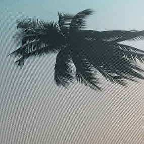 Obraz - Palma na Bali (70x50 cm)